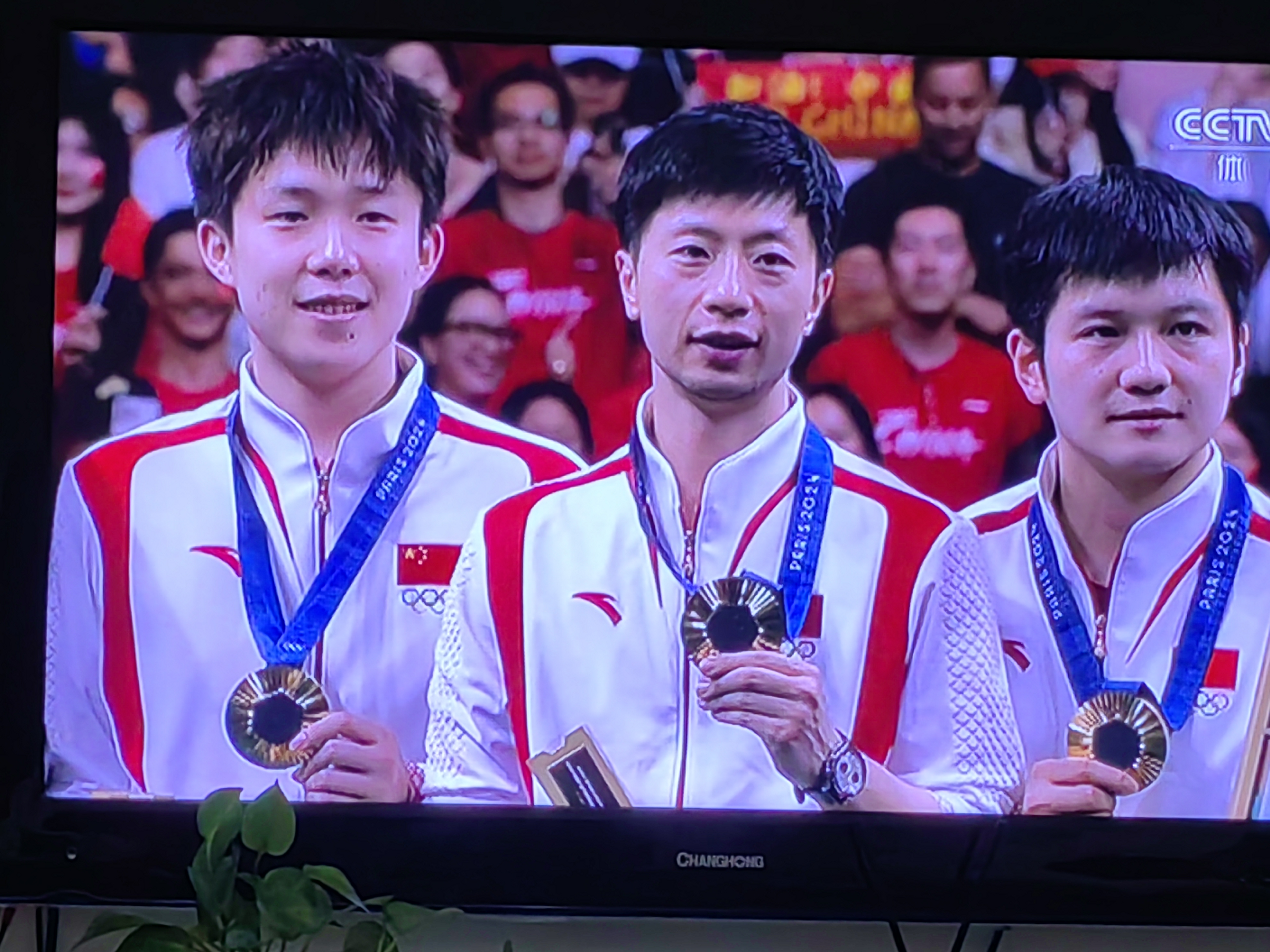 瑞典乒乓球队鏖战中国乒乓球队,波尔送出助攻 瑞典乒乓球队鏖战中国乒乓球队,波尔送出助攻