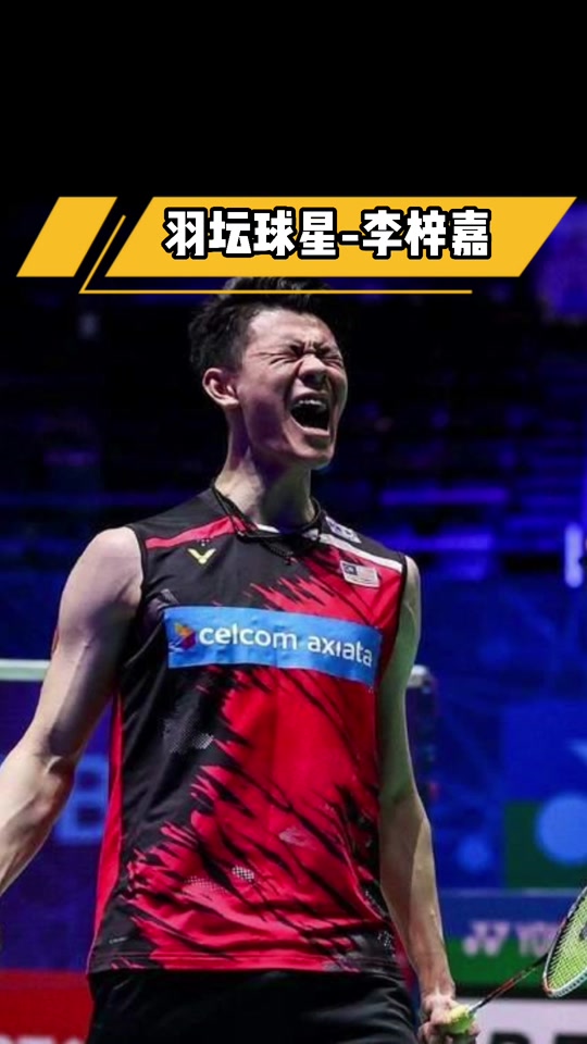 马来西亚队险胜德国队,李梓嘉关键制胜 马来西亚队险胜德国队,李梓嘉关键制胜