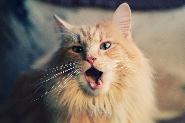 爱游戏入口-倒挂金钩与霸王拧，时光机里的两个制胜瞬间