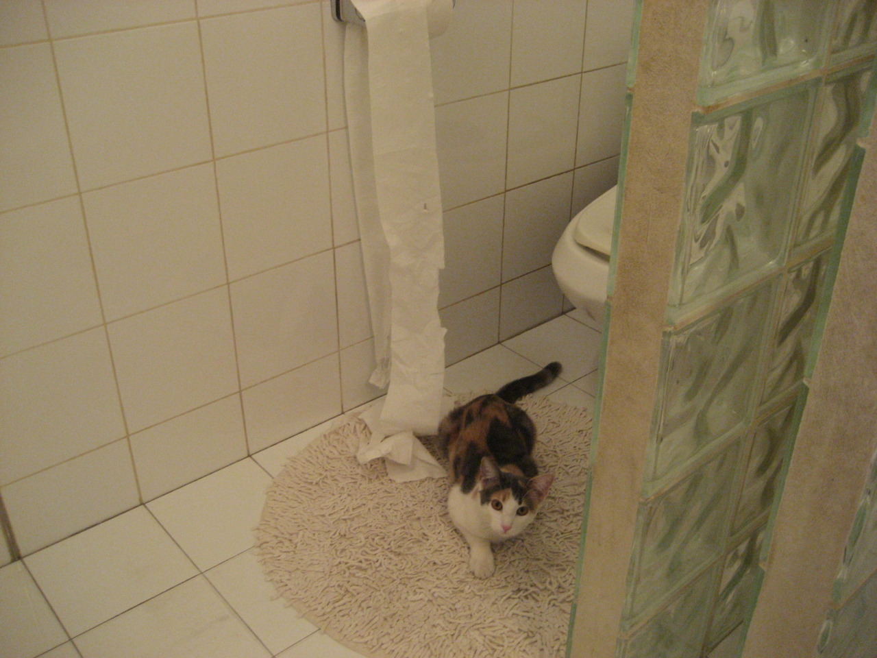 爱游戏入口-当纽约夜幕遇上黄河波涛，布伦森狂飙之夜，山西绝杀写就篮球唯一性