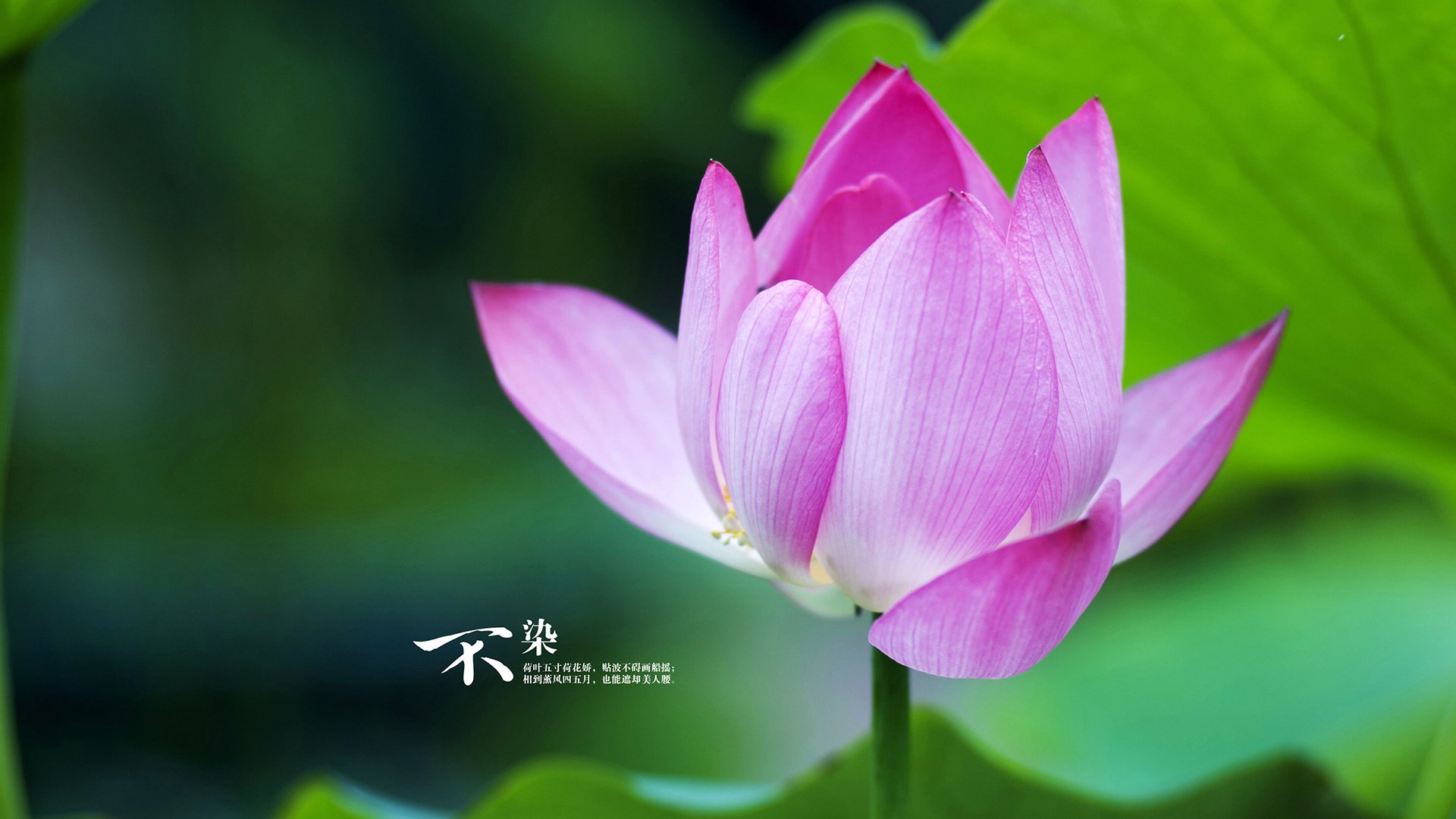 独舞于尼罗河畔，当萨内的蓝色对峙宿命，个人能力在埃及与尼斯的神话之夜完全展现