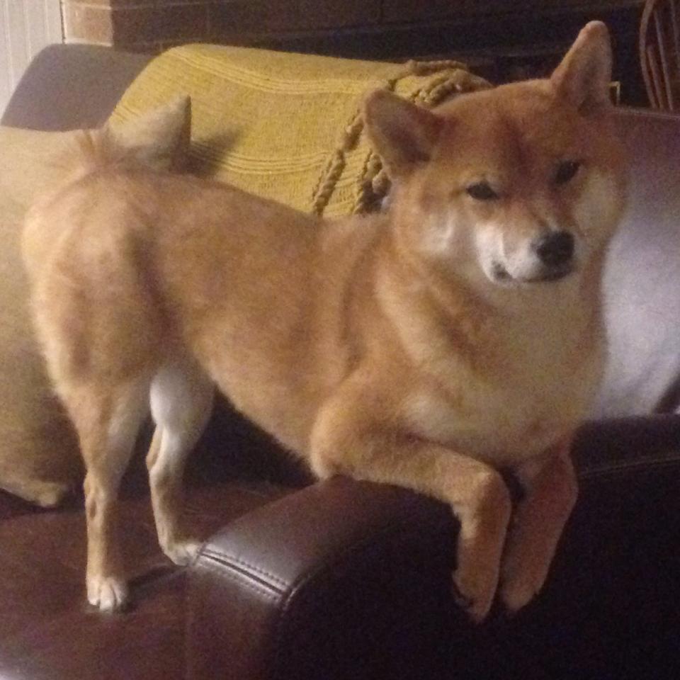 爱游戏官方-野火燎原，爱德华兹的东决封神夜