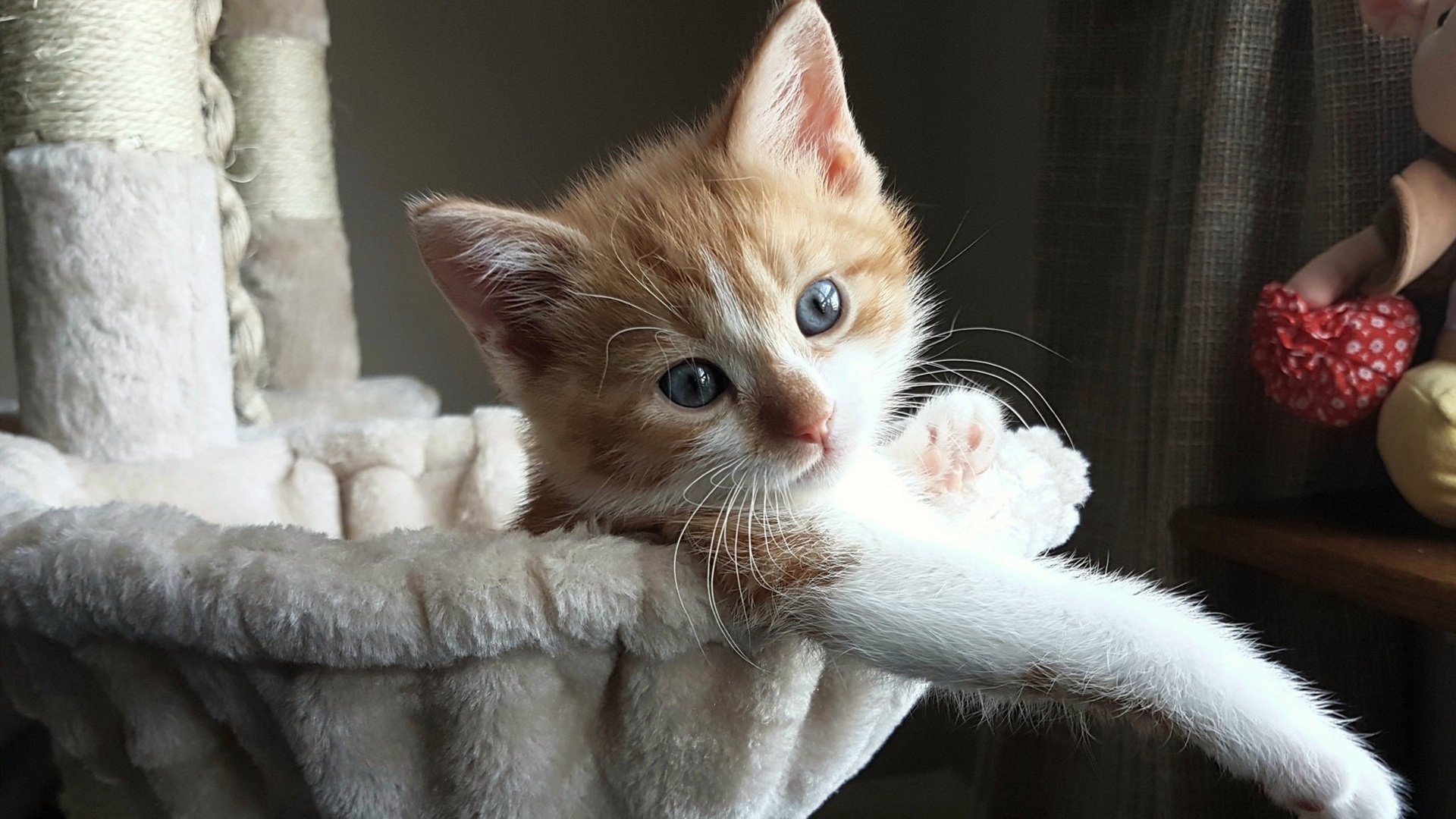 宿敌的黄昏,当杰伦·格林在马刺的坟茔上,奏响孤独的回响