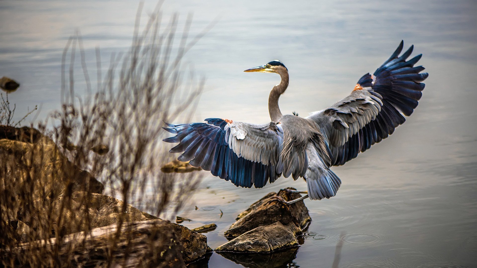 爱游戏-亡者归来，武切维奇在NBA总决赛接管比赛，热火逆袭湖人