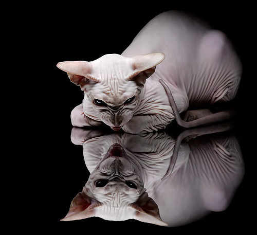 爱游戏APP-赛道即棋盘，奥纳纳如何以城市为棋盘，下赢F1街道赛的这盘棋？