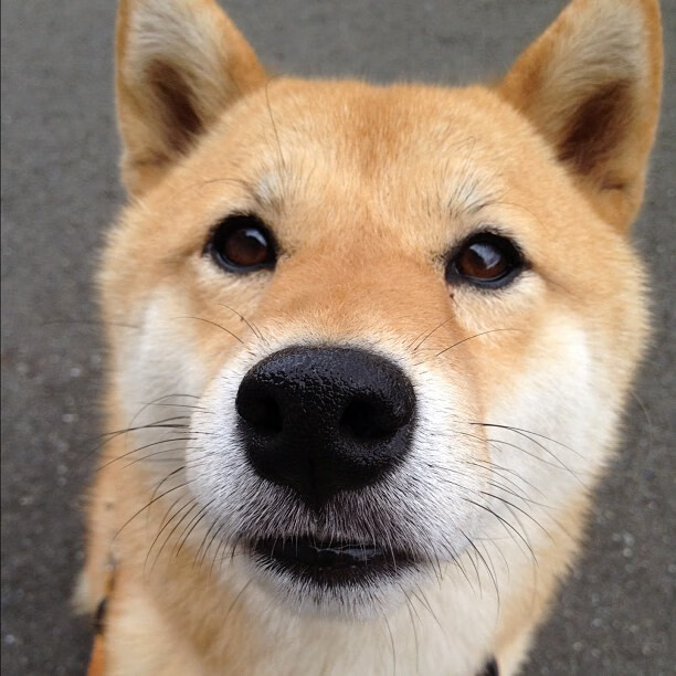 爱游戏下载-东方魔法点燃赛场，巴斯克铁蹄碾压红魔，一场颠覆传统的胜利