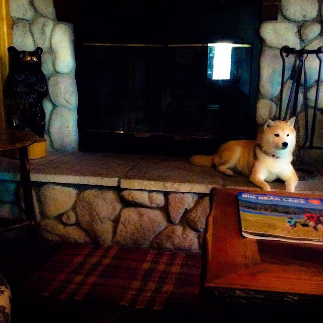 法比尼奥连击定乾坤,巴西在巅峰对决中力克丹麦,唯一性之战彰显王者风范