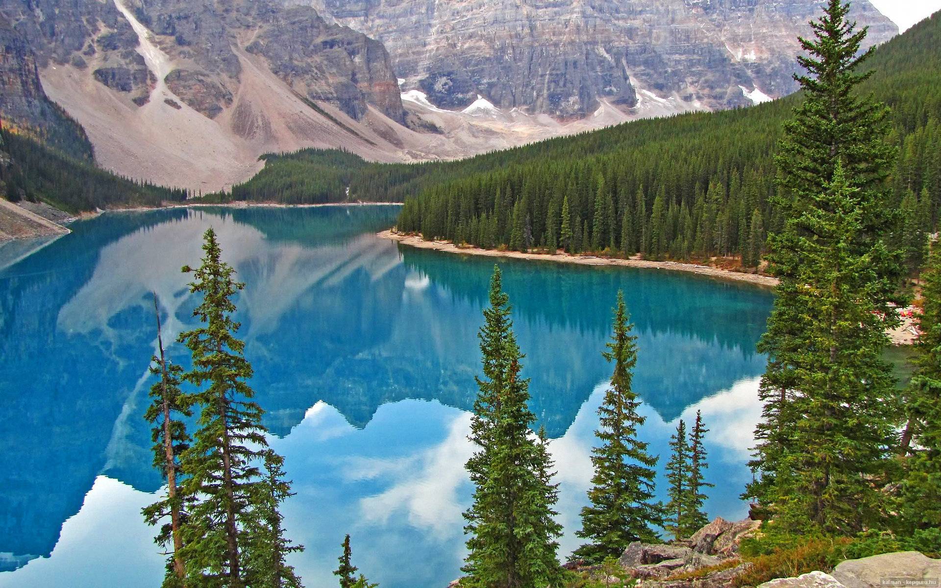 爱游戏-绿茵交响诗，多特蒙德的节奏铁幕与范戴克的破茧变调