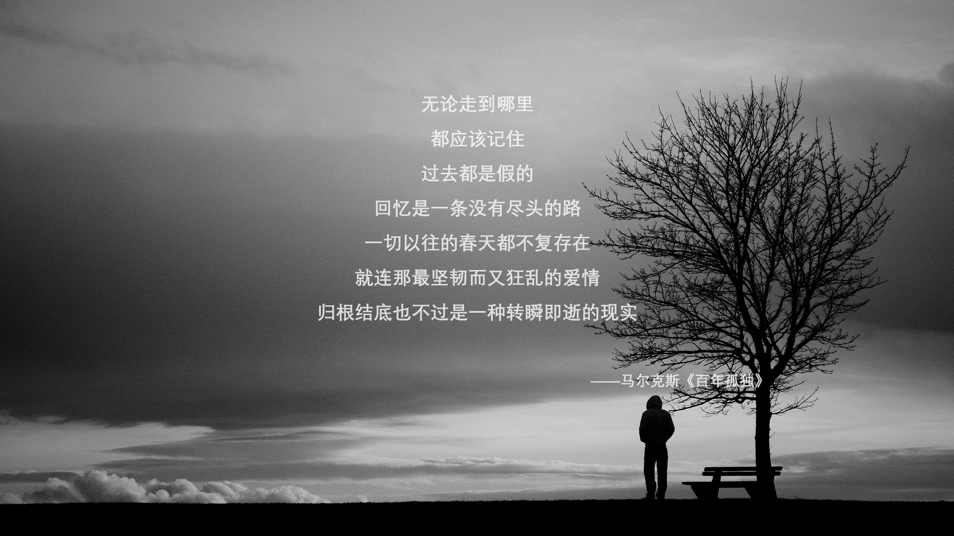 1.碾压之夜，当德国战车重装启动，比利时黄金一代梦碎2026（侧重叙事与颠覆性）