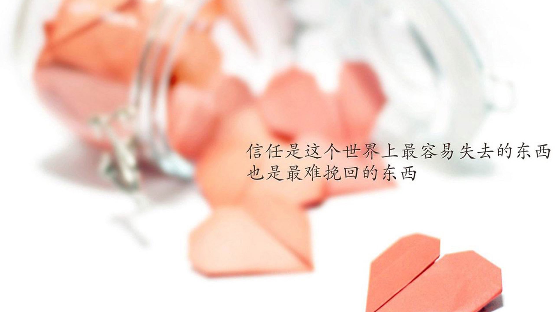 爱游戏官方-当欧洲杯烽火点燃—2026世界杯D组的罗生门