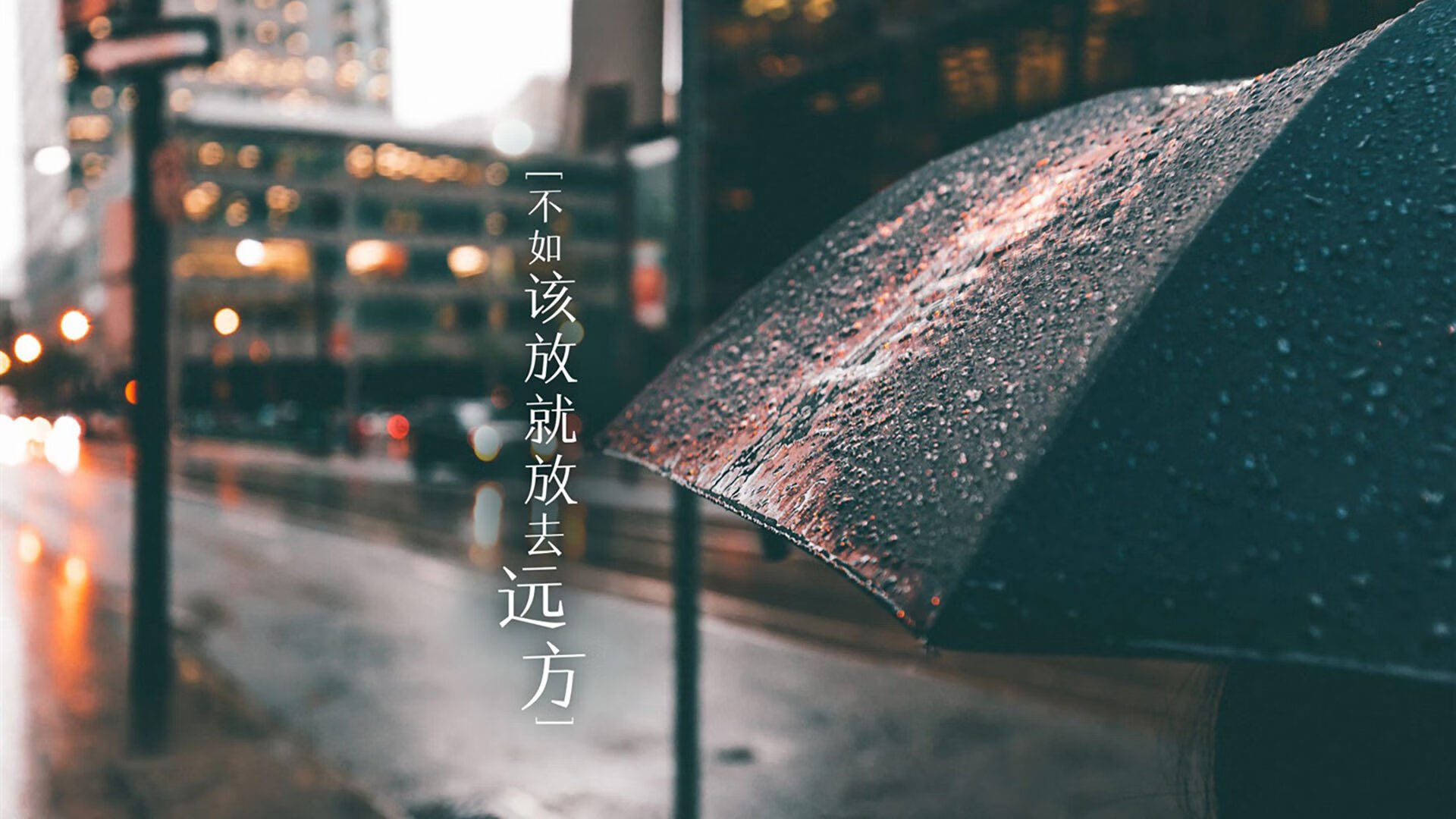 默契之刃,致命一击,厄瓜多尔如何在2026世界杯D组绝杀荷兰