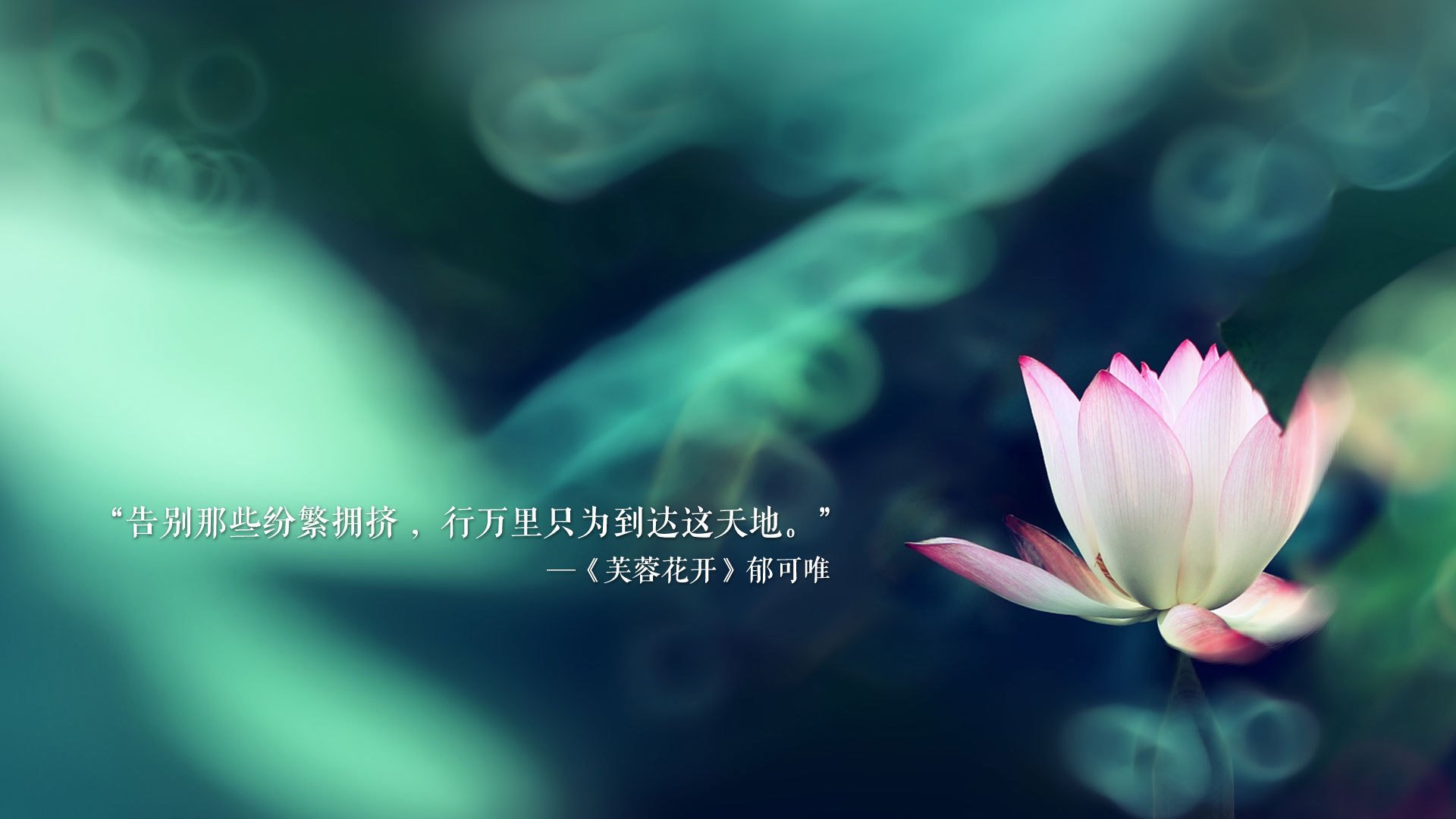 -核心要素,厄瓜多尔压制荷兰(冷门)维尼修斯主导(个人英雄)攻守转换流畅(战术美学)2026世界杯D组(舞台)